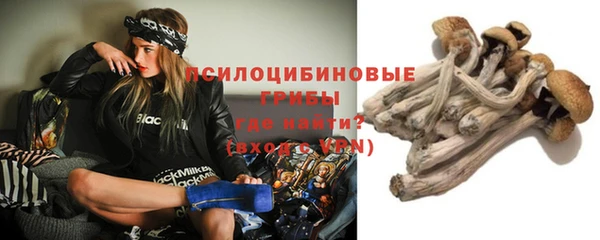 крисы Бердск