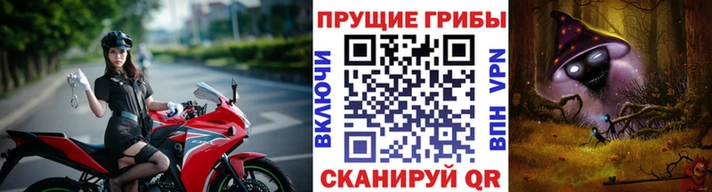 Галлюциногенные грибы Cubensis  Тихорецк 